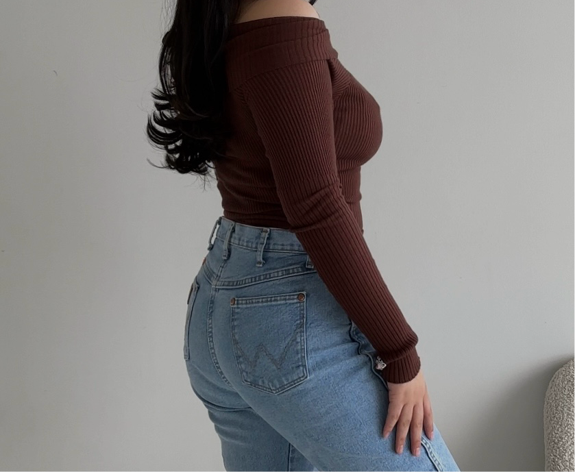 Brown Off the shoulder Top